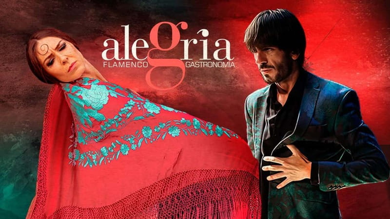 Alegria Flamenco in Malaga, with Transfer, Cocktail and Premium Location - Key Points