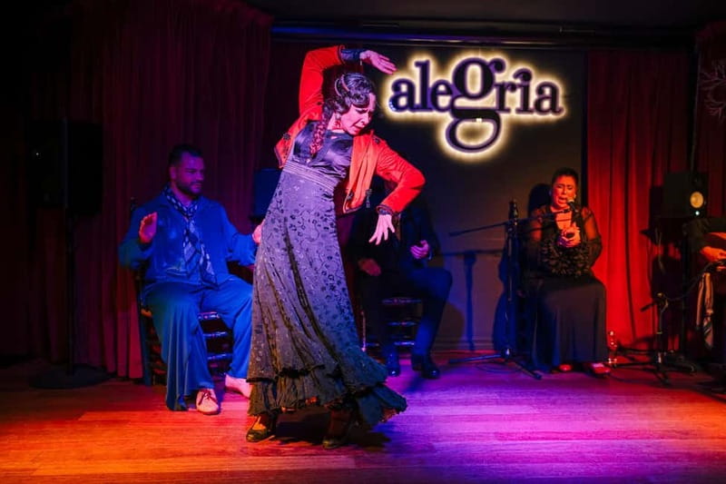 Alegria Flamenco in Malaga, with Transfer, Cocktail and Premium Location - Booking Flexibility and Practical Details