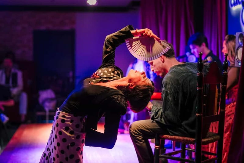 Alegria Flamenco in Malaga, with Transfer, Cocktail and Premium Location - Who Should Consider This Flamenco Tour?