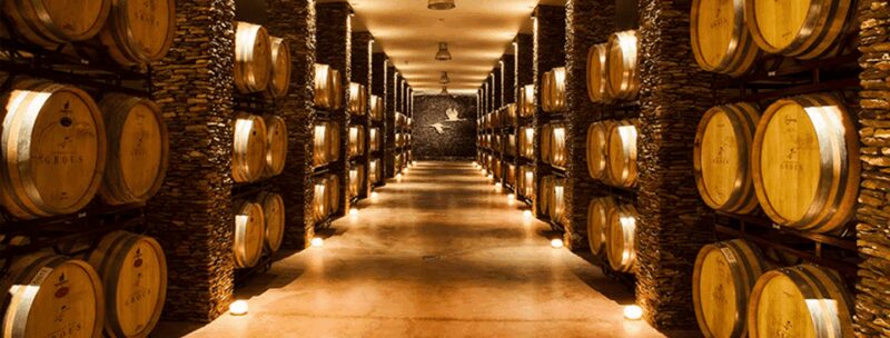 Alentejo Wine Tour from the Algarve - Authentic Alentejo Lunch at "Campo do Caroço"