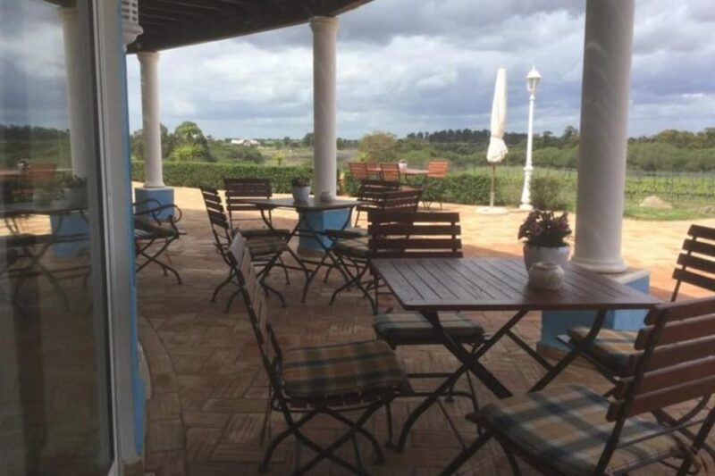 Alentejo Wine Tour from the Algarve - Scenic Drive Back to the Algarve with Cultural Insights