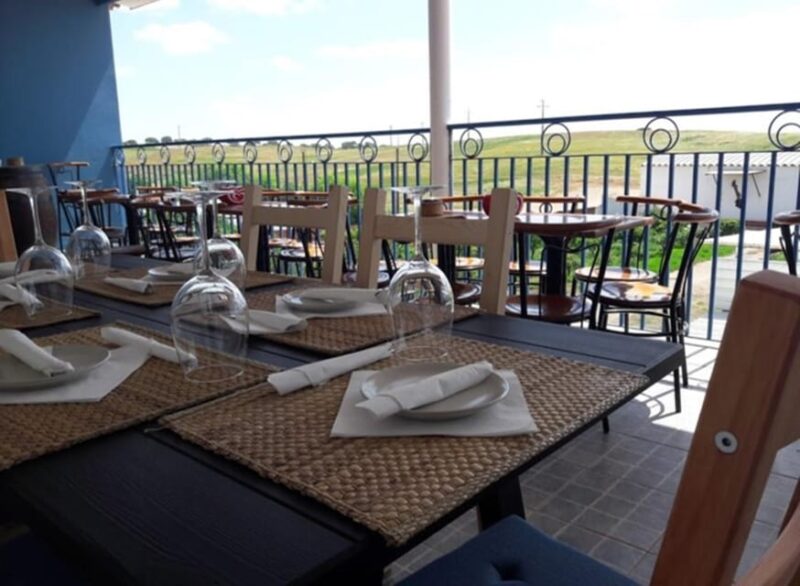 Alentejo Wine Tour from the Algarve - Logistics and What’s Included in the Tour