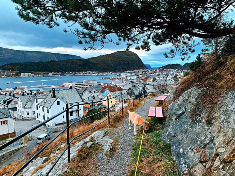 Alesund 2 hrs Private Sightseeing Tour on foot and by car - Visiting the Islands: Narvoy, Aspoy, and Hessa