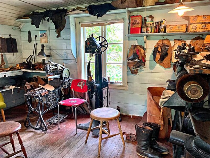 Alesund 4 hours Heritage Sightseeing Tour - Discovering Norways Medieval Roots at Sunnmøre Museum