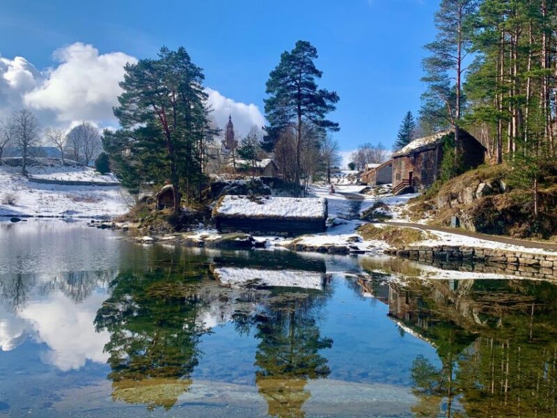 Alesund 4 hours Heritage Sightseeing Tour - The Boat Hall and Viking Ships