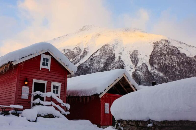 Ålesund: Fjord Tour & Gourmet Lunch at Rekkedal Gjestegard - Key Points