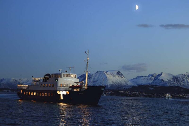 Ålesund: Fjord Tour & Gourmet Lunch at Rekkedal Gjestegard - Logistics and Practical Tips for the Tour