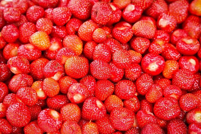 Alesund Shore Excursion: From Fjords to Trolls - Who Should Consider This Tour