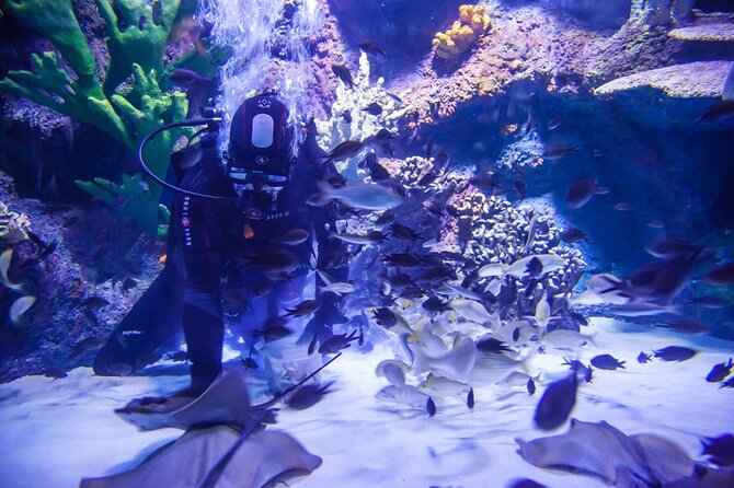 Alexander Waterfall and Antalya Aquarium Day Tour from Side - Key Points