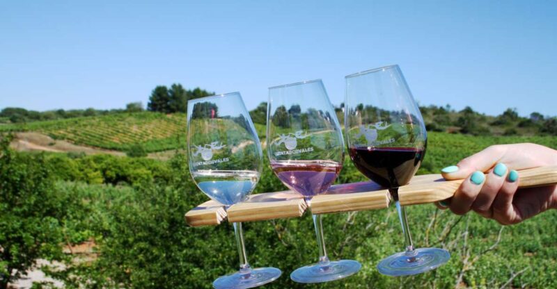 Algarve: 3 Types of Wine Tastings with Vineyard Views - Discover the Unique Experience of Algarves Vineyard Wine Tastings