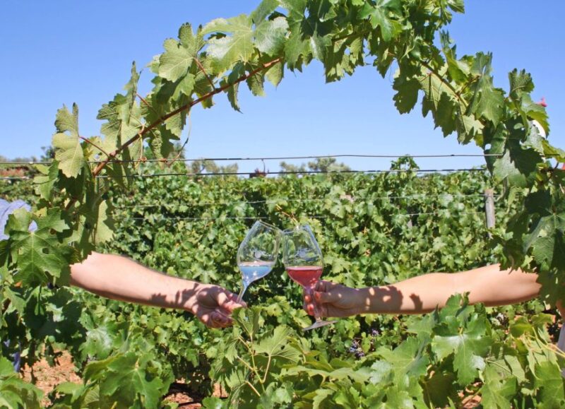 Algarve: 3 Types of Wine Tastings with Vineyard Views - Tasting 3 Types of Algarve Wines: Reds or Whites