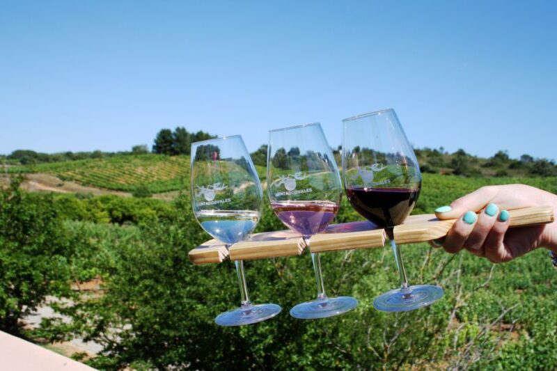 Algarve: 3 Types of Wine Tastings with Vineyard Views - How the Winery Guides Enhance Your Experience