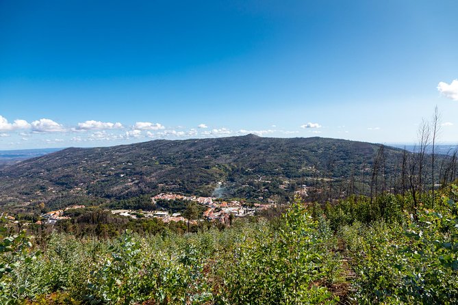 Algarve a la Carte - Pacing and Group Size