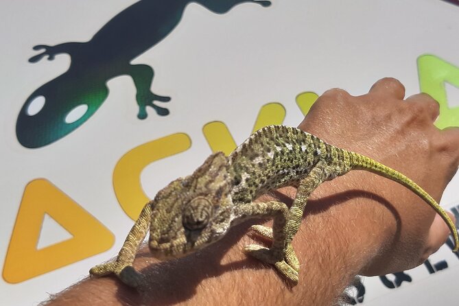 Algarve Charms - 7 Hours Private - The Guide’s Personal Touch and Local Knowledge