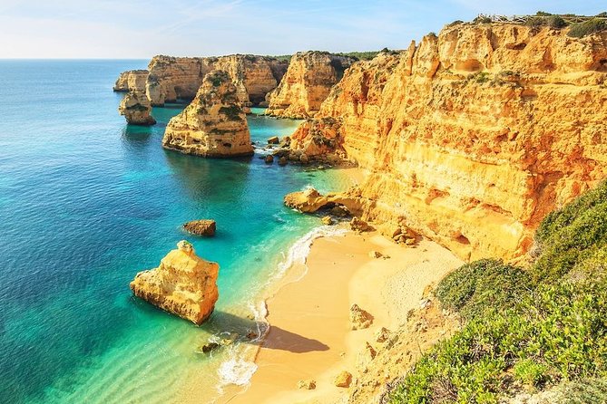 Algarve Coast Full-Day Private Tour - Visiting Lagos Municipal Market and Waterfront Views