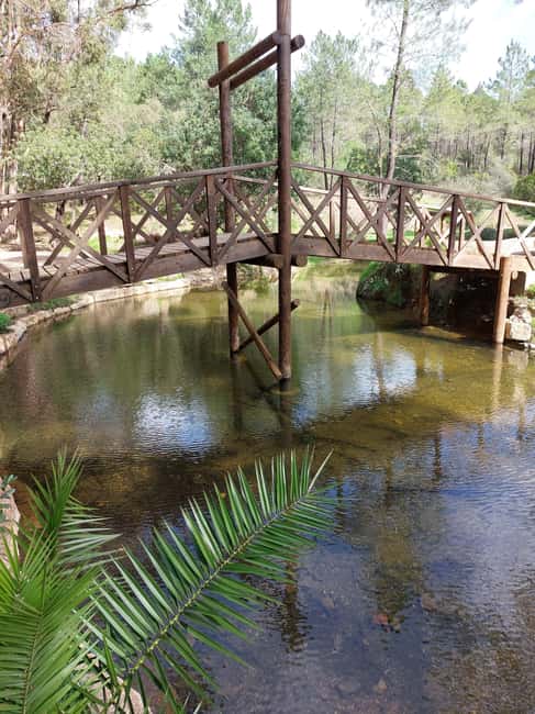 Algarve: Cork Factory, Fonte Férrea Park, & Distillery Tour - Discovering the Cork Factory’s Craftsmanship