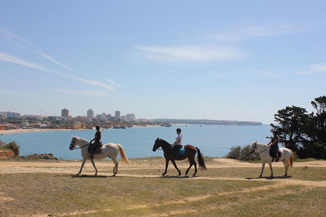 Algarve - Exclusive horseriding in Portimao (no experience required) - Key Points