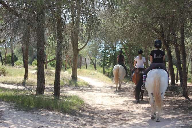 Algarve - Exclusive horseriding in Portimao (no experience required) - Starting Point and Logistics in Portimao