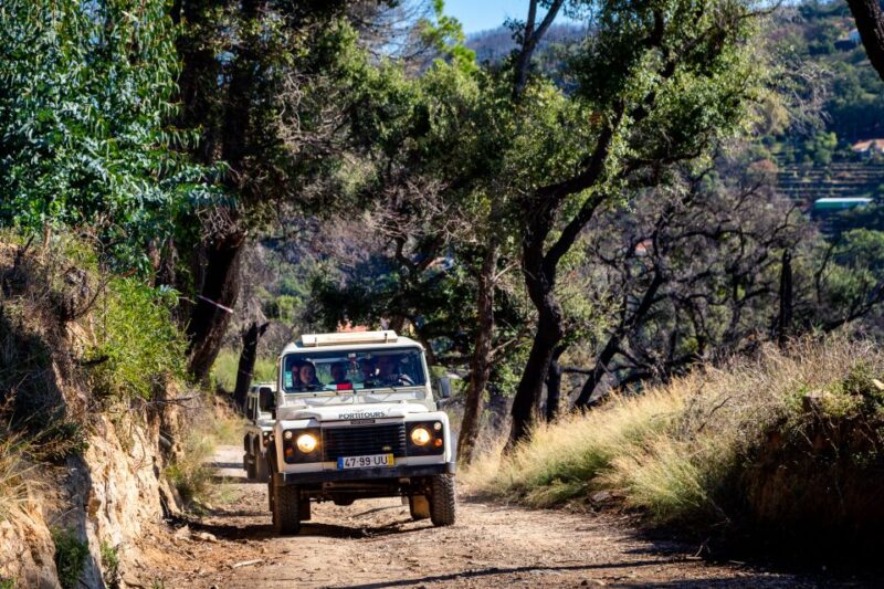 Algarve: Full-Day Boat and Jeep Tour - Why This Tour Stands Out