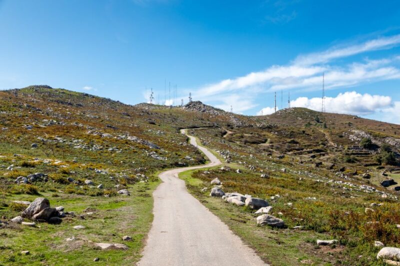 Algarve: Full-Day Guided Sightseeing Tour with Lunch - Practical Details and Value