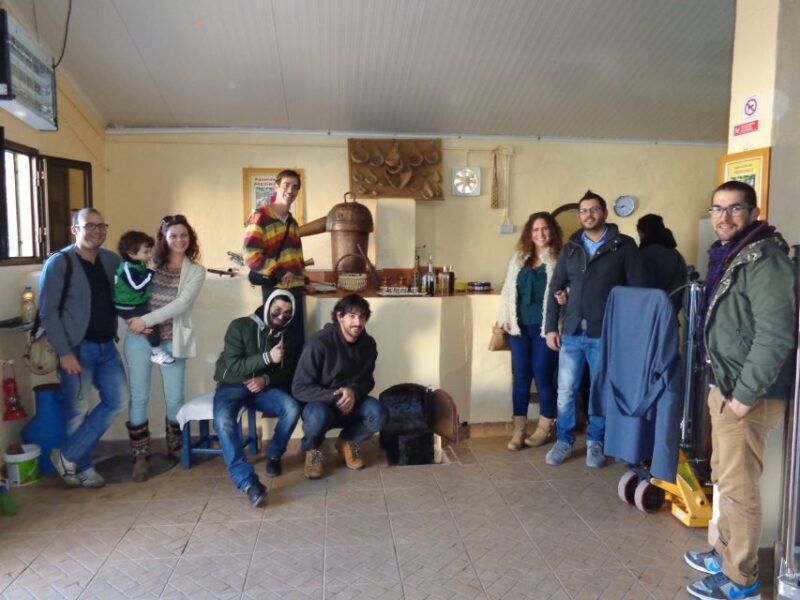 Algarve Full-Day Jeep Safari Tour with Lunch - Logistics and Accessibility