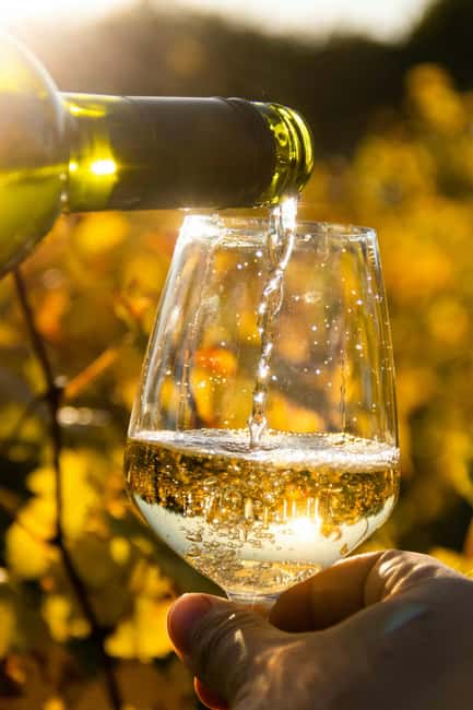 Algarve Golden Coast & Boutique Wine Estate Experience - Unique Perspectives at Marinha Beach’s Overlook Points