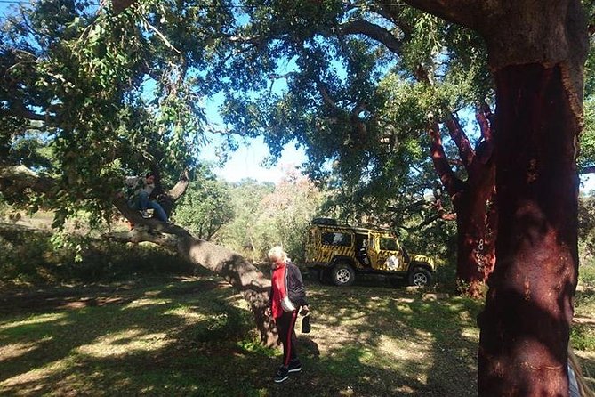 Algarve Half Day Jeep Safari (PRIVATE TOUR) - Exploring the Village of Alte in the Mountains