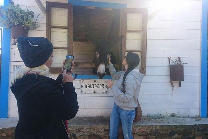 Algarve Half Day Jeep Safari (PRIVATE TOUR) - Authentic Experiences at a Local Farm
