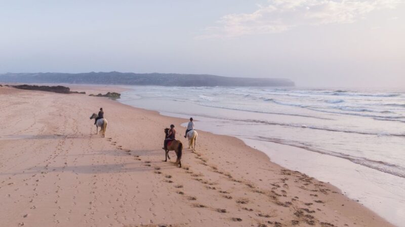Algarve: Horse Riding Beach Tour at Sunset or Morning - Exploring the Route: From Forest Trails to the Beach