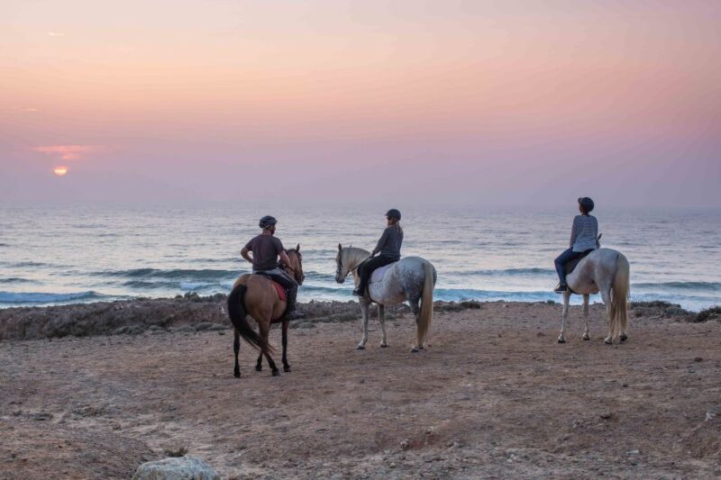 Algarve: Horse Riding Beach Tour at Sunset or Morning - Final Thoughts on the Algarve Beach Horseback Ride