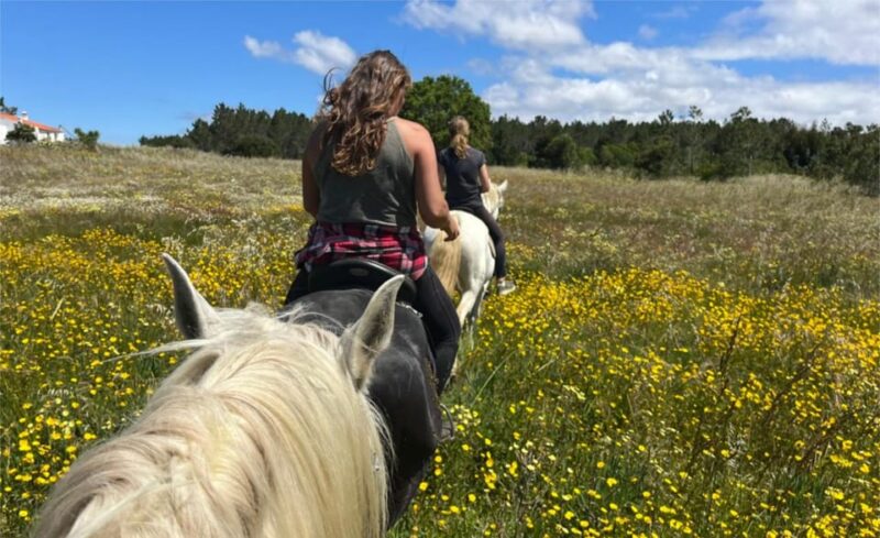 Algarve Horseriding tour in the countryside of Aljezur Rogil - The Guide: Experienced and Multilingual