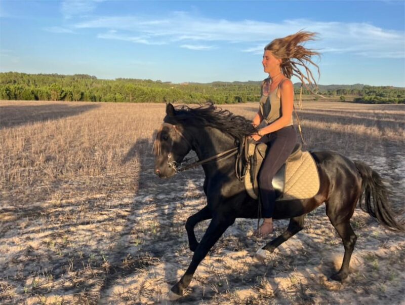 Algarve Horseriding tour in the countryside of Aljezur Rogil - Why This Horse Riding Tour Stands Out