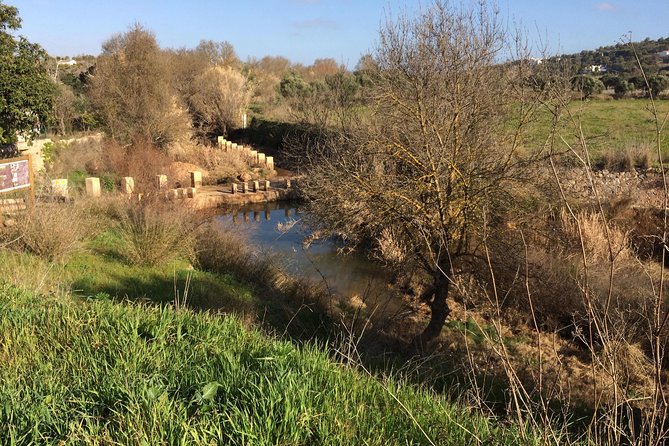 Algarve Jeep Safari - Day Trip - Alte’s Cork Reserves and Honey Tasting