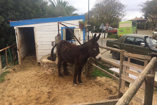 Algarve Jeep Safari - Day Trip - Lunch and Free Time in Alte