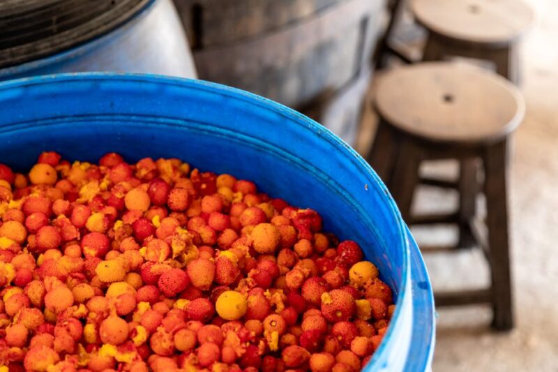 Algarve: Jeep Safari with Distillery Visit & Lunch - Enjoying a Traditional Lunch in a Rural Restaurant