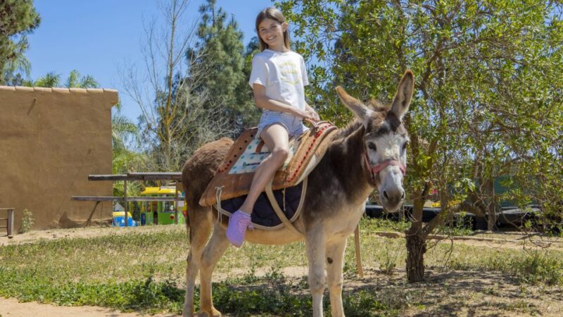 Algarve: Krazy World Interactive Park Entry Ticket - The Sum Up: A Fun Day for Families in Algarve