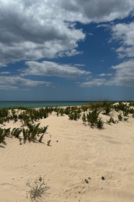 Algarve, Lisbon; V.I.P. Women's road trip with female guide - Key Points