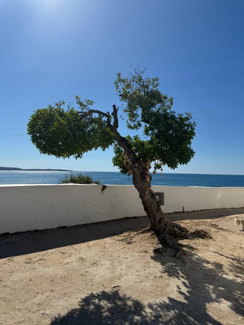 Algarve, Lisbon; V.I.P. Women's road trip with female guide - Convenience and Comfort in Every Aspect