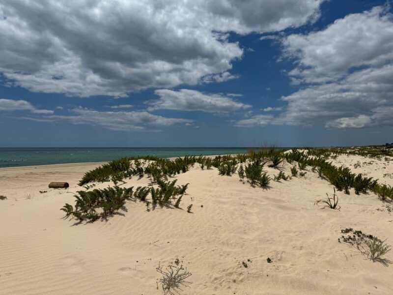 Algarve, Lisbon; V.I.P. Women's road trip with female guide - What’s Not Included and Optional Extras