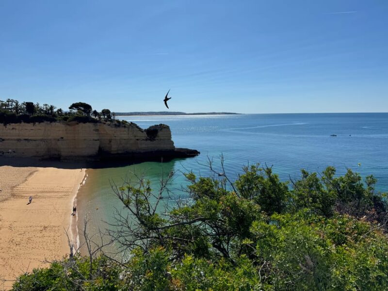 Algarve, Lisbon; V.I.P. Women's road trip with female guide - Booking, Cancellation, and Practical Tips