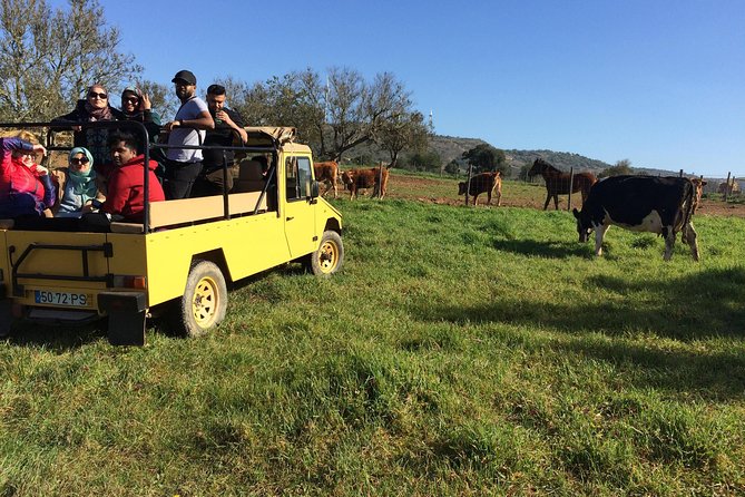 Algarve Mountains & Villages - Half Day Jeep Safari Trip - Explore the Algarve Mountains & Villages on a Half-Day Jeep Safari