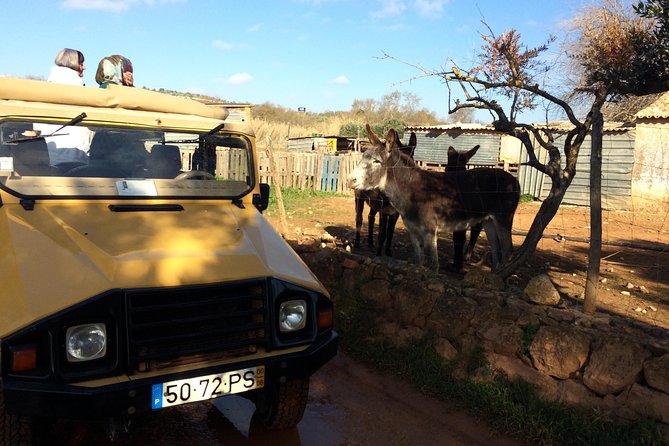 Algarve Mountains & Villages - Half Day Jeep Safari Trip - Practicalities and Booking Details