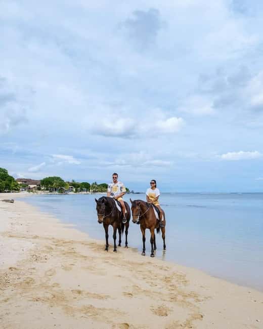 Algarve: Premium Guided Horseback Ride with Picnic - Key Points