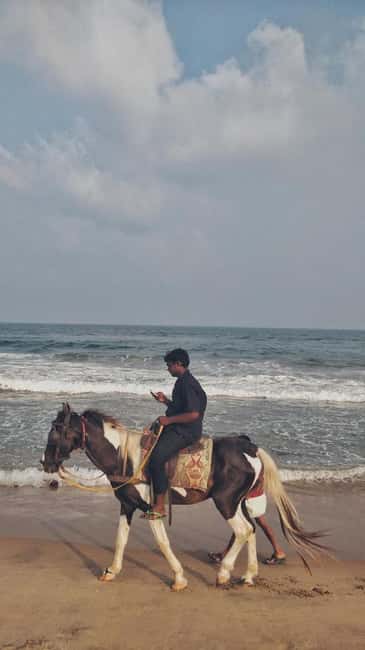 Algarve: Premium Guided Horseback Ride with Picnic - The Sum Up: A Tranquil Algarve Escape with Gourmet Flair