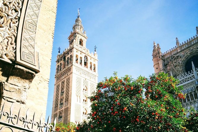 Algarve private transfer to Seville - Practical Details and Booking Insights