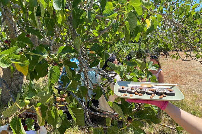 Algarve Romantic Vineyard Picnic in Carvoeiro - Logistics: Convenient Pickup and Private Tour Experience