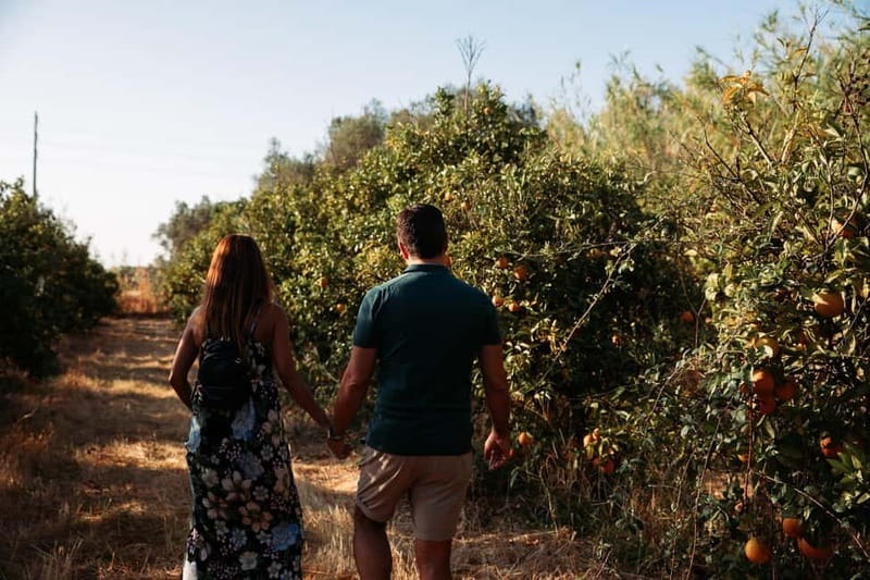 Algarve: Silves, Orange Grove & Monchique Mountains Tour - Sampling Regional Flavors in the Heart of the Mountains