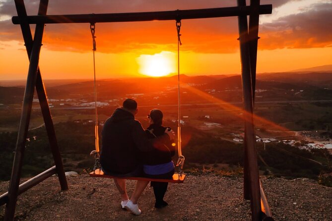 Algarve Sunset Safari Tour from Albufeira - Key Points