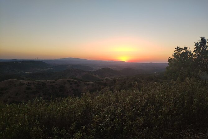 Algarve Sunset Safari Tour from Albufeira - Practical Tips and Considerations