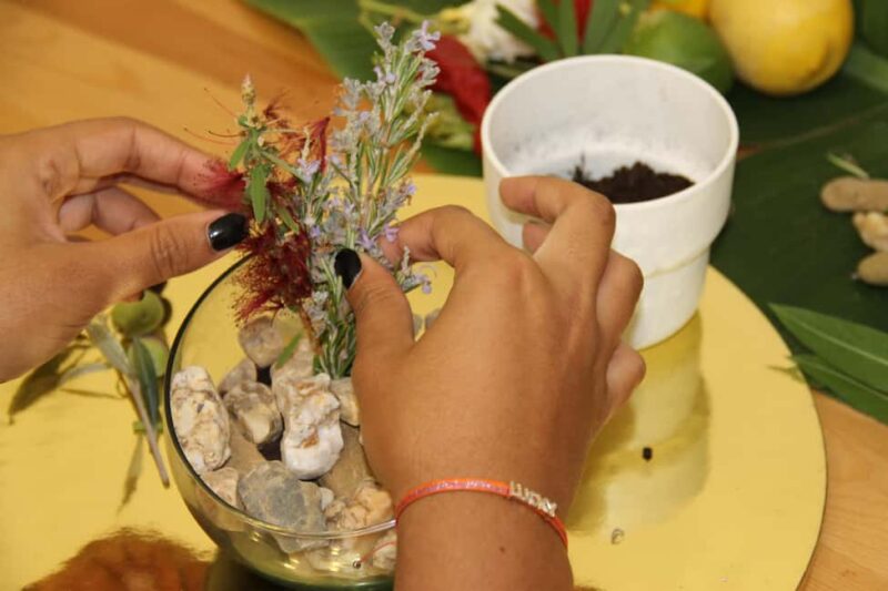 Algarve: Terrarium-Making Workshop with Snacks - Key Points